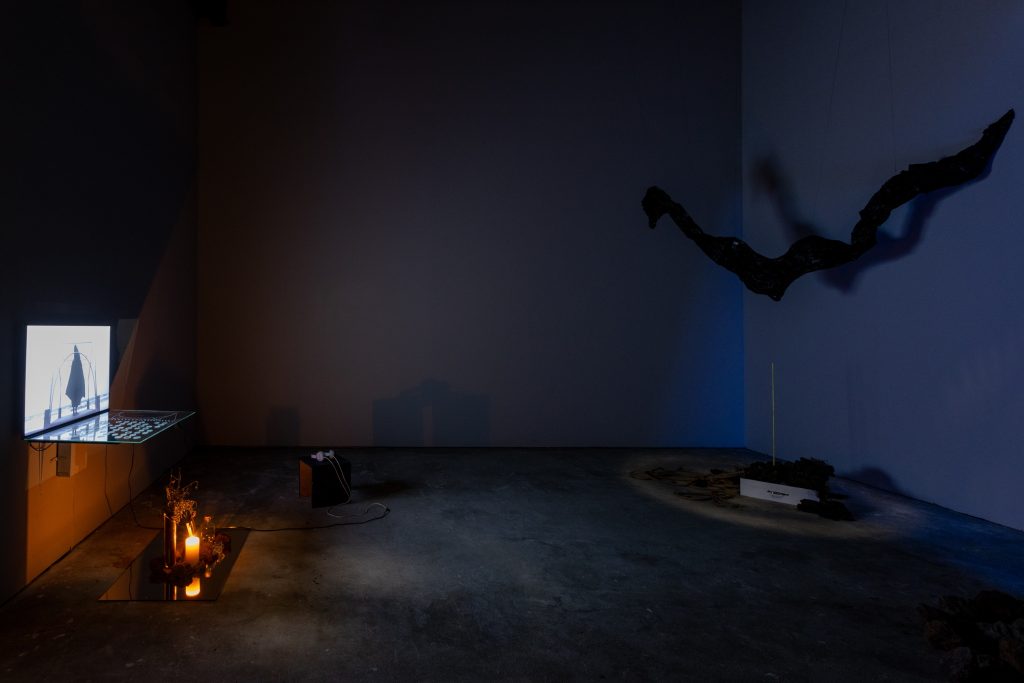 reimagining the untold vaga mariana lopes 4